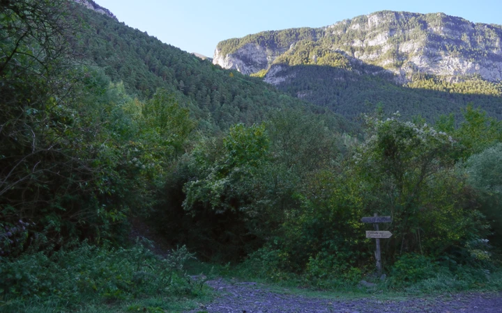 Desvío hacia el ibón de Plan en la pista forestal
