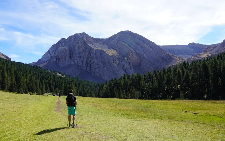 Pradera antes de llegar al ibón de Plan