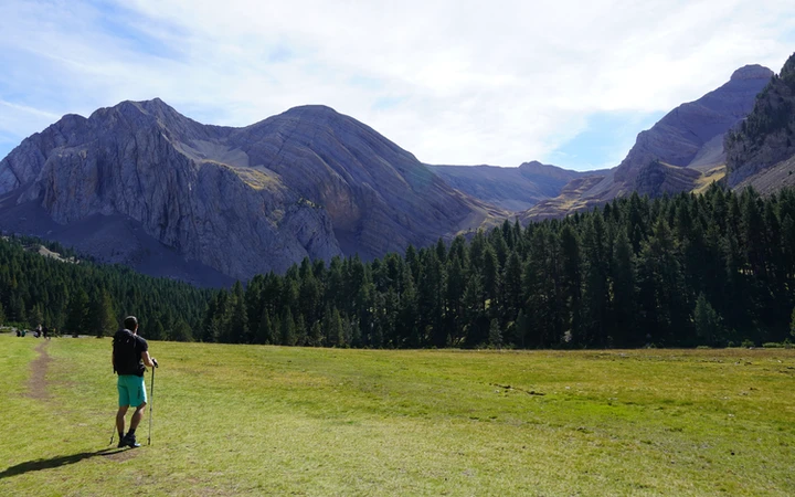 Pradera antes de llegar al ibón de Plan