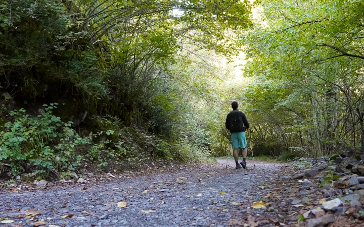 Tramo de pista forestal desde Plan