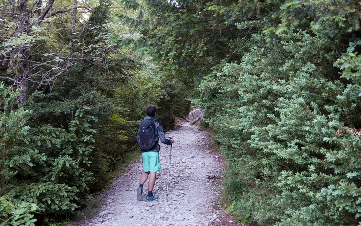 Primer tramo de bosque desde el refugio de Bujaruelo