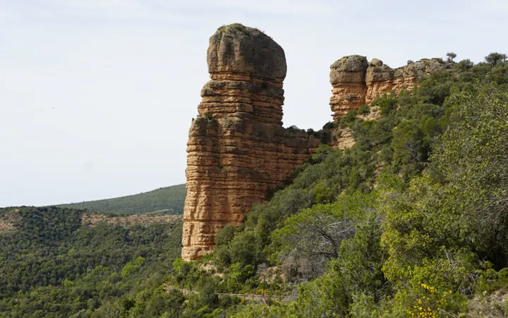 Huevo de Morrano