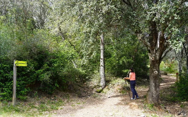 Inicio del camino a Peña Falconera