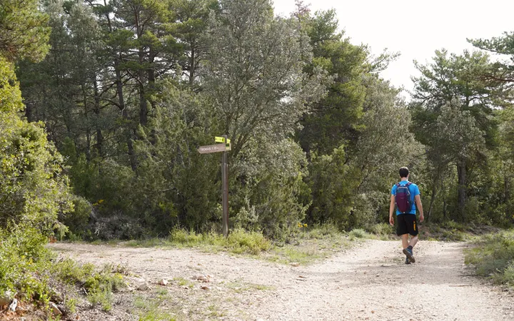 Primer cruce de caminos hacía el Huevo de Morrano
