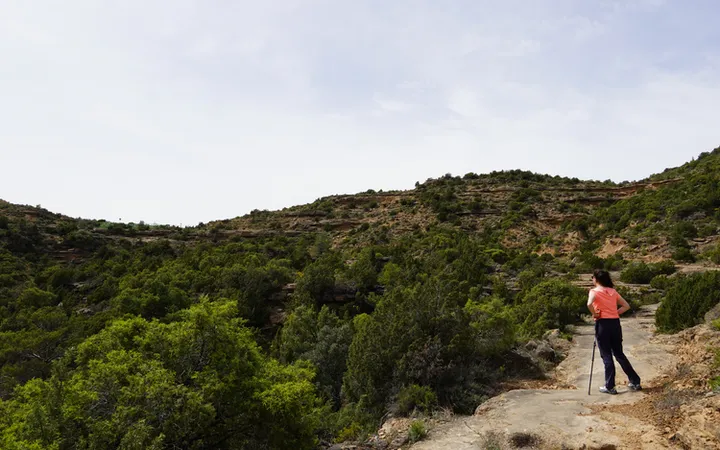 Último tramo hasta el mirador de Peña Falconera