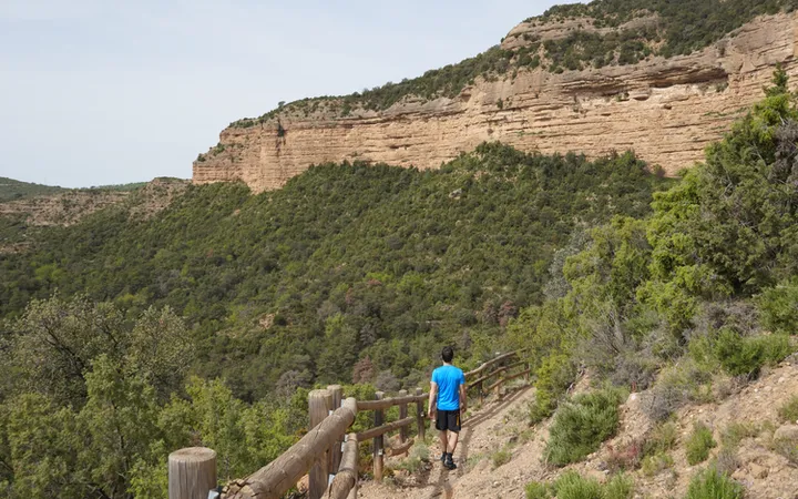 Camino de la Peña Falconera hacia Morrano