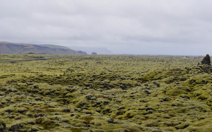 Vistas de los campos de musgo islandés Eldhraun