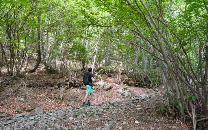 Inicio de la subida al ibonet de Batisielles desde la pista