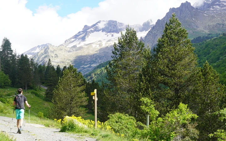 Camino por pista en el valle de Estós