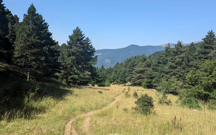 Zona abierta de camino a la Fuente del Paco