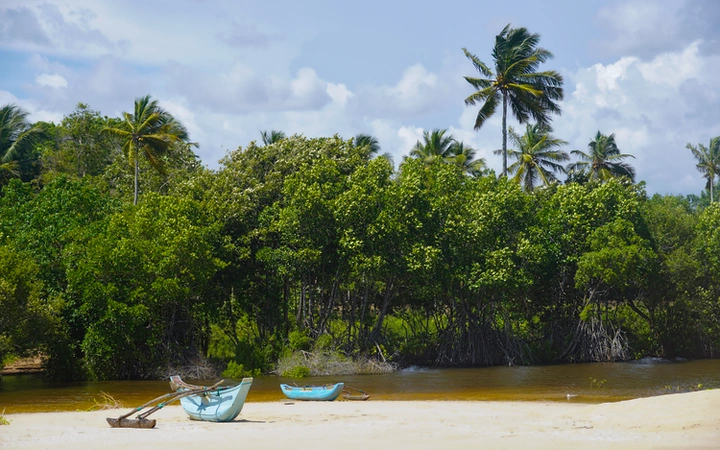 Embarcaciones típicas de Sri Lanka