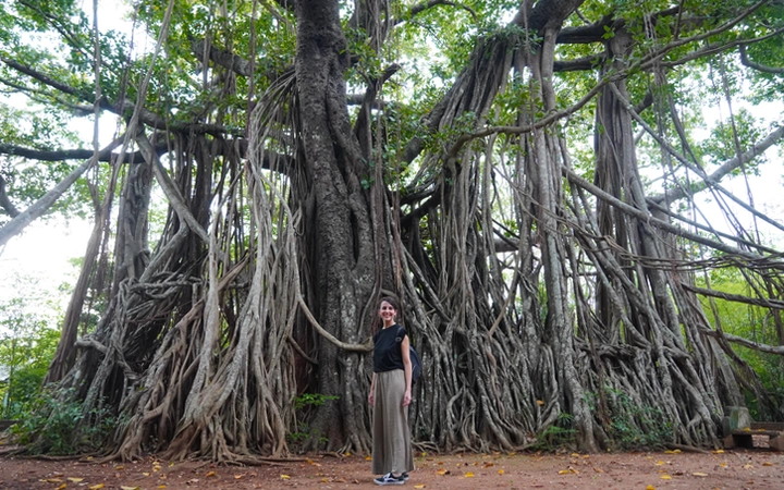 Parada de camino a Mihintale para ver el árbol Mihindu