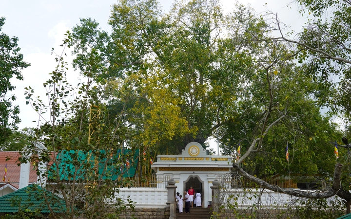 Templo Sri Maha Bodhi en la ciudad de Anuradhapura