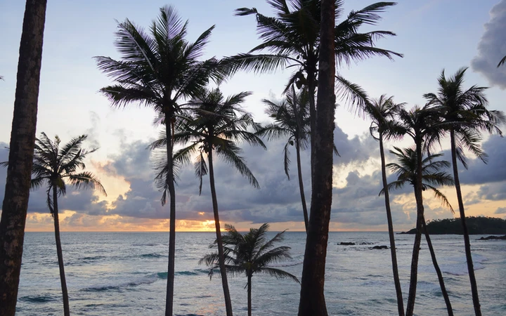 Qué ver en Mirissa: Coconut Tree Hill