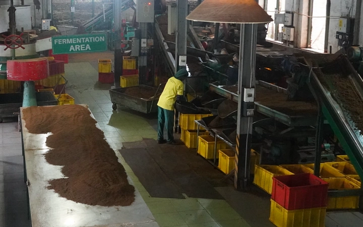 Qué ver en Nuwara Eliya: Interior de la fábrica de té de Damro