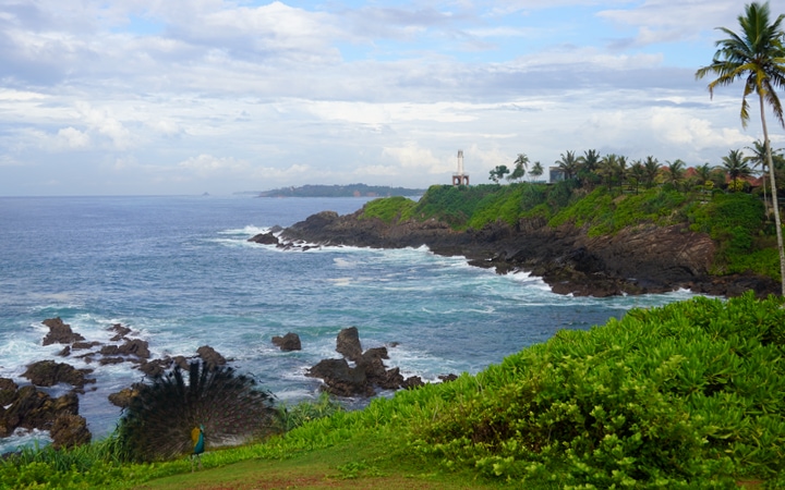 Vistas desde el mirador Viewpoint Mirissa