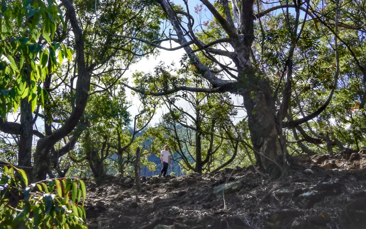 Montículo previo a la parte más dura de la ruta a Ella Rock