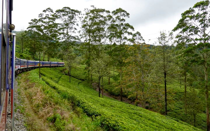Trayecto en tren de Kandy a Ella