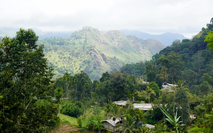 Vistas de Little Adam´s Peak durante el regreso
