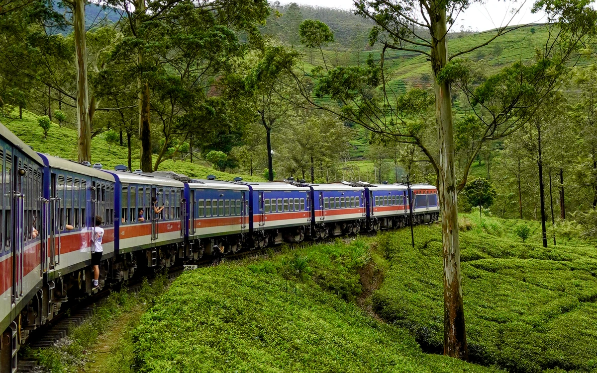 Tren de Kandy a Ella atravesando las plantaciones de té