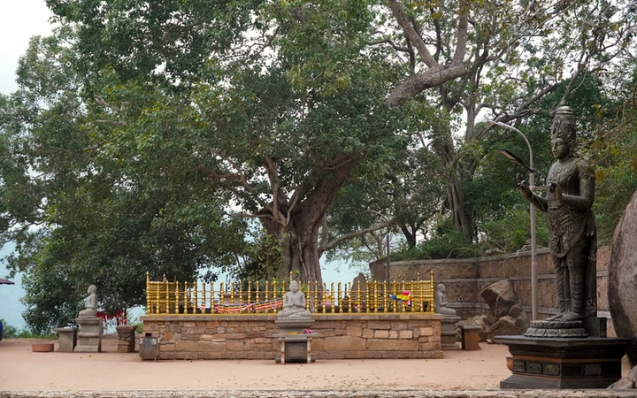 Árbol sagrado y estatuas de Buda en Mihintale