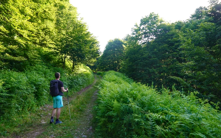 Parte alta de la pista forestal