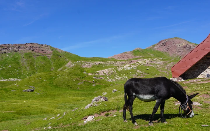 Último repecho para llegar al Col d´Arlet