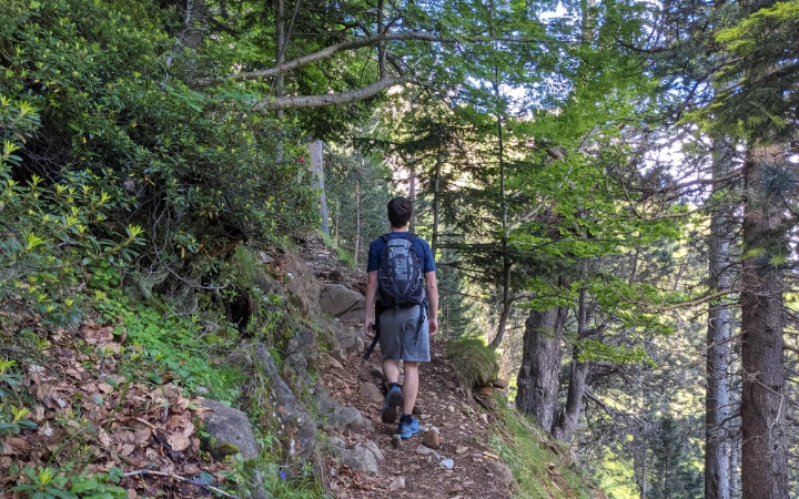 Camino de la Senda de Los Cazadores