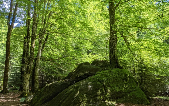Piedra de las Siete Faus en Ordesa