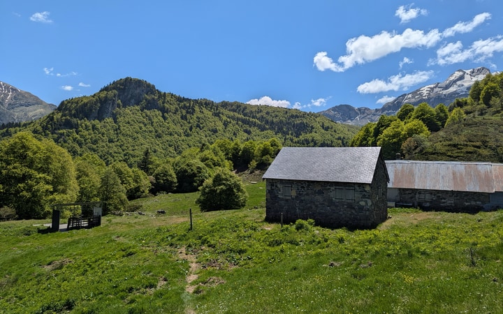 Cabaña de pastores y venta de queso