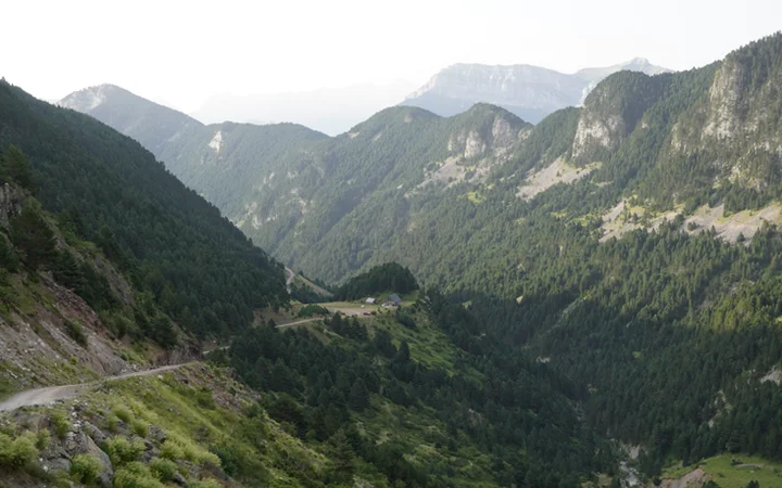 Vista del tramo de pista entre Borda Brunet y Petramula