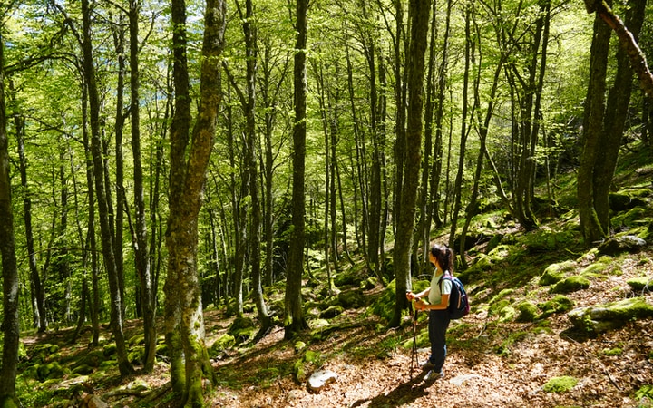 Bajada por el bosque hacia el parking de Espelunguére