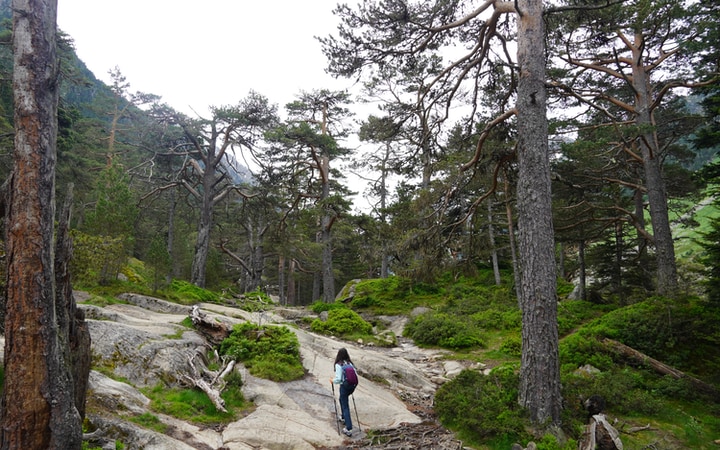 Tramos de piedra antes de llegar al Lac de Gaube