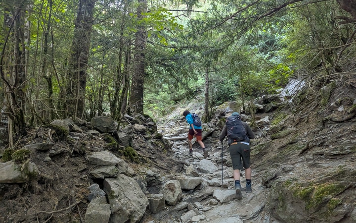Primeros metros de subida por bosque