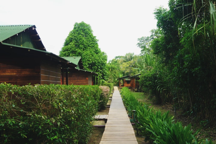 Zona de bungalows en Amazon Planet
