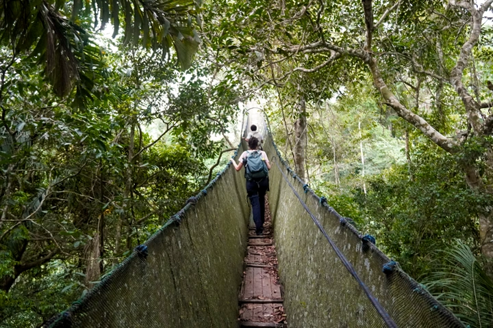 Puente colgante durante el Canopy Walkway