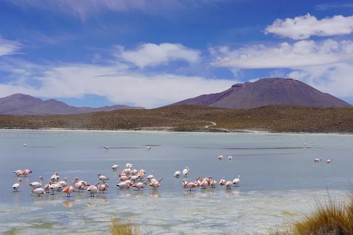 Guía para viajar a Bolivia: Lagunas altiplánicas