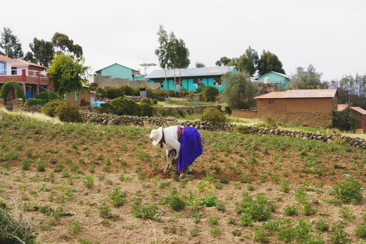 Mujer de Amantaní trabajando en el huerto