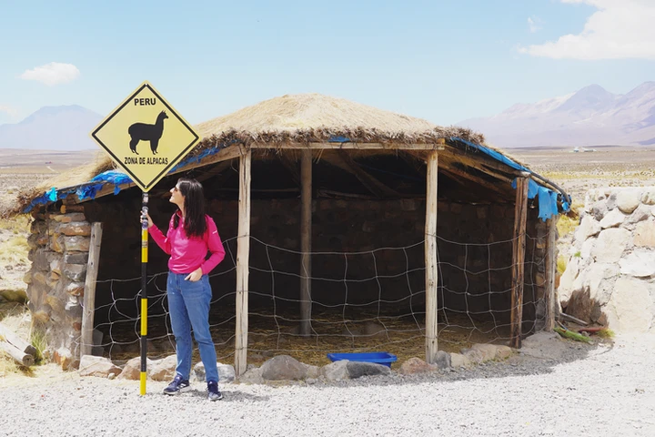 Señal típica de zona de Alpacas en el Altiplano de Perú