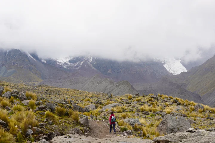 Tramo con plantas de ichhu o paja de los Andes
