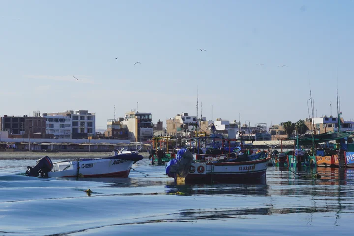 Zona del puerto de Paracas